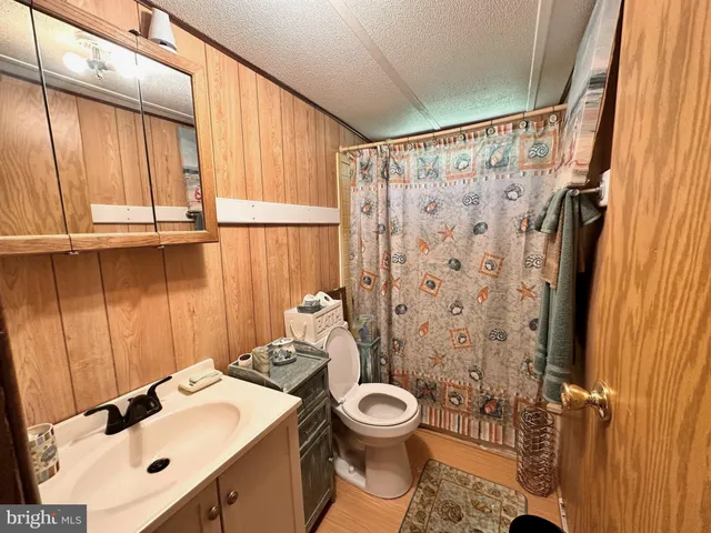 a bathroom with a sink a toilet and shower curtain