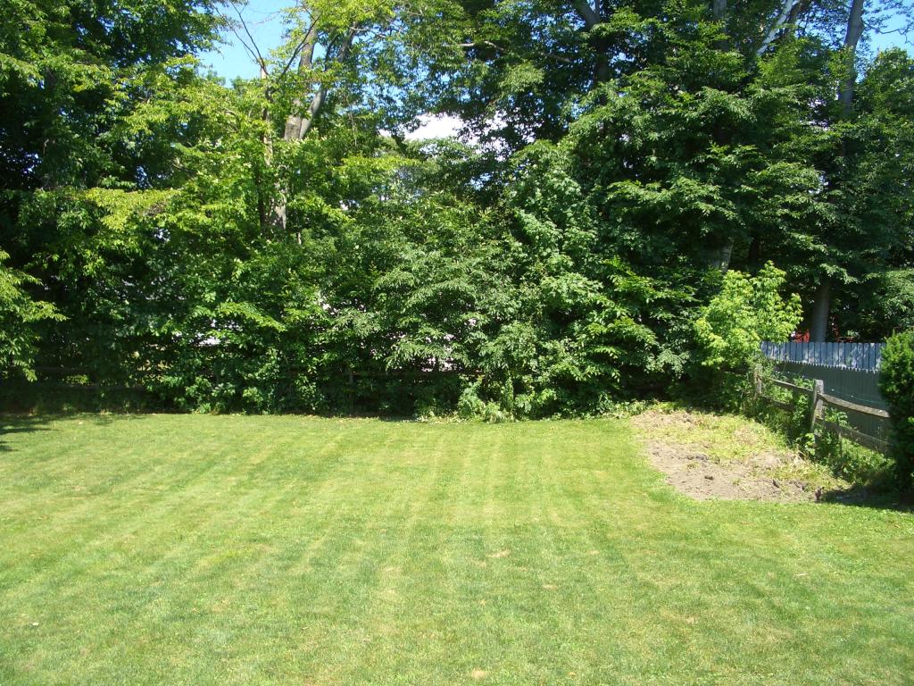 218 Pearl Street Rutland, VT 05701 - Photo 25 of 29