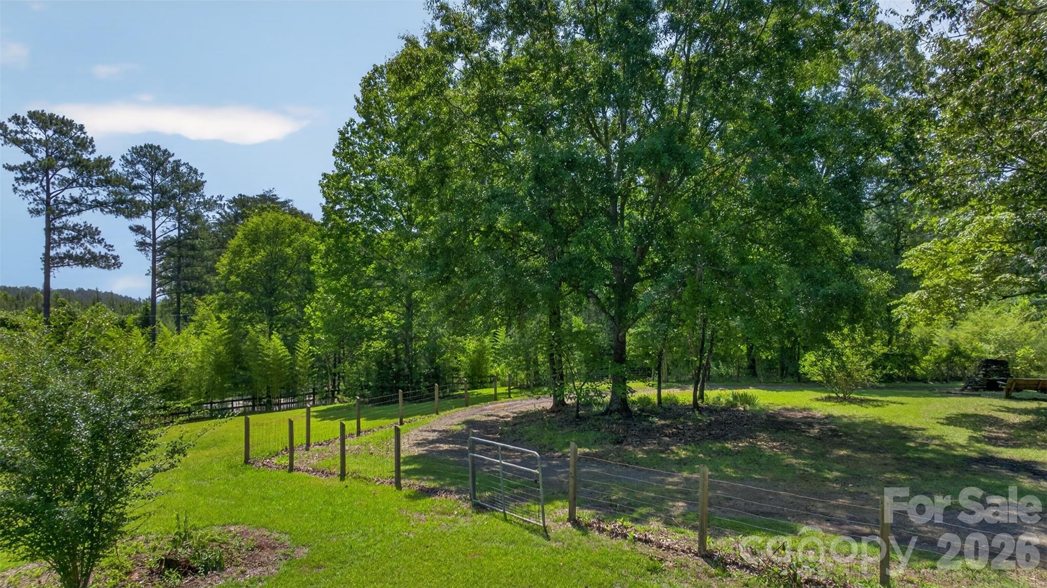 66 Misery Ridge Mill Spring, NC 28756 - Photo 7 of 43