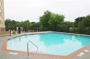a view of a terrace with a bench and trees