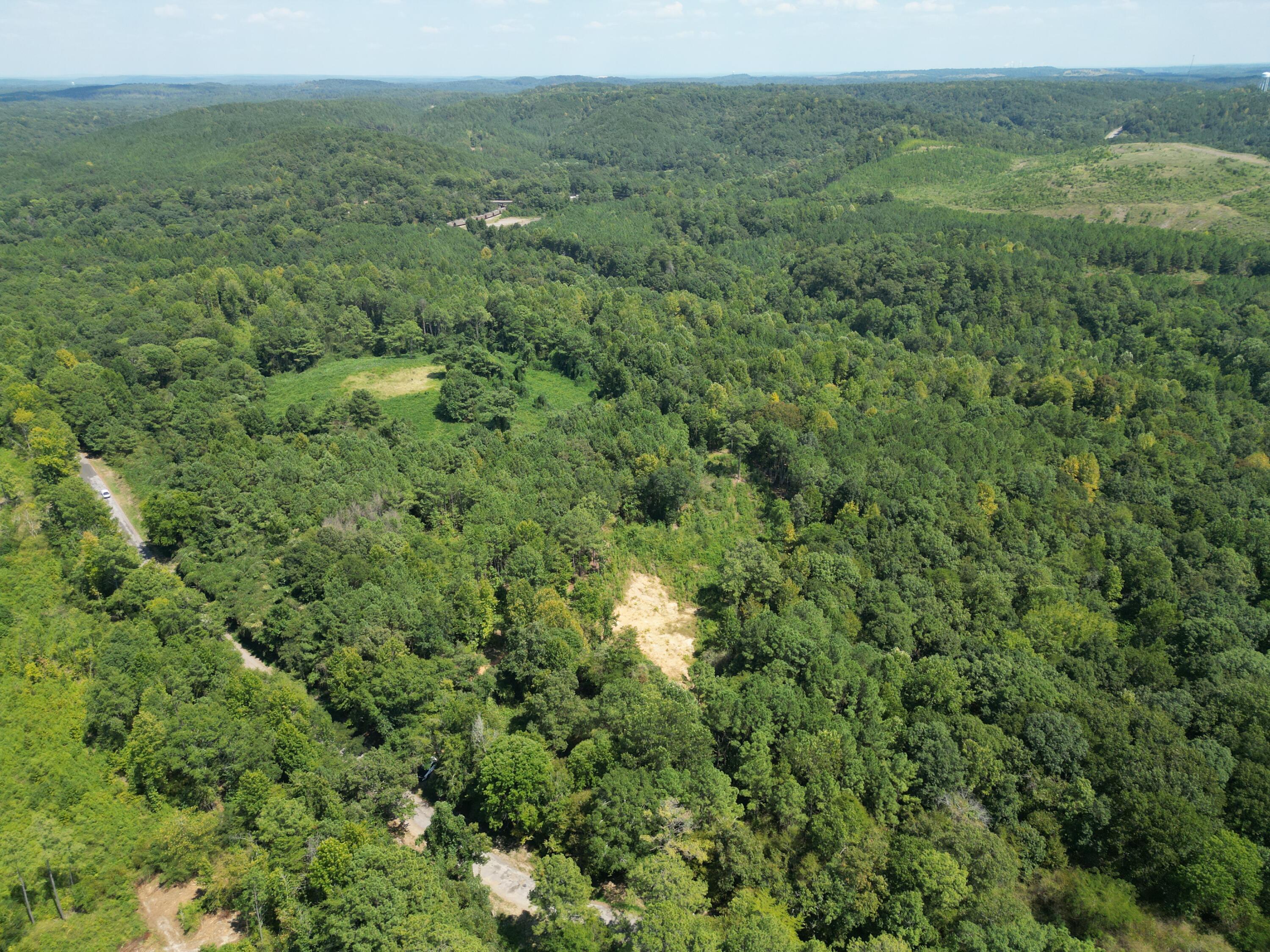 0 Old Baltimore Road Parrish, AL 35580 - Photo 14 of 33 Gallery Image 14