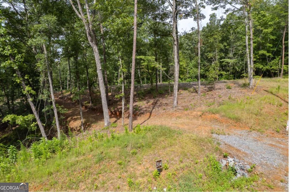 Lot 314 Pebble Trace, Unit 314 Talking Rock, GA 30175 - Photo 3 of 10 a view of a backyard with trees