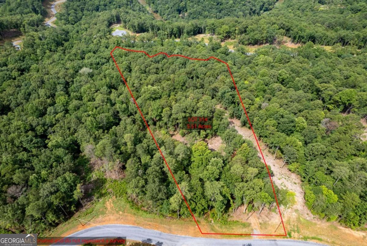 Lot 314 Pebble Trace, Unit 314 Talking Rock, GA 30175 - Photo 4 of 10
