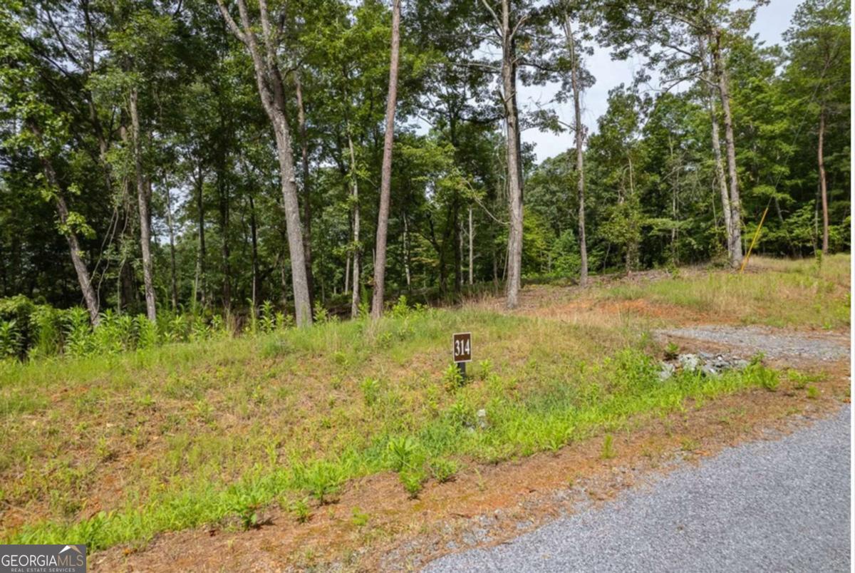 Lot 314 Pebble Trace, Unit 314 Talking Rock, GA 30175 - Photo 5 of 10 a view of backyard with green space