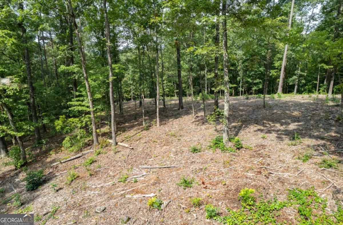 Lot 314 Pebble Trace, Unit 314 Talking Rock, GA 30175 - Photo 6 of 10 a view of backyard with tree
