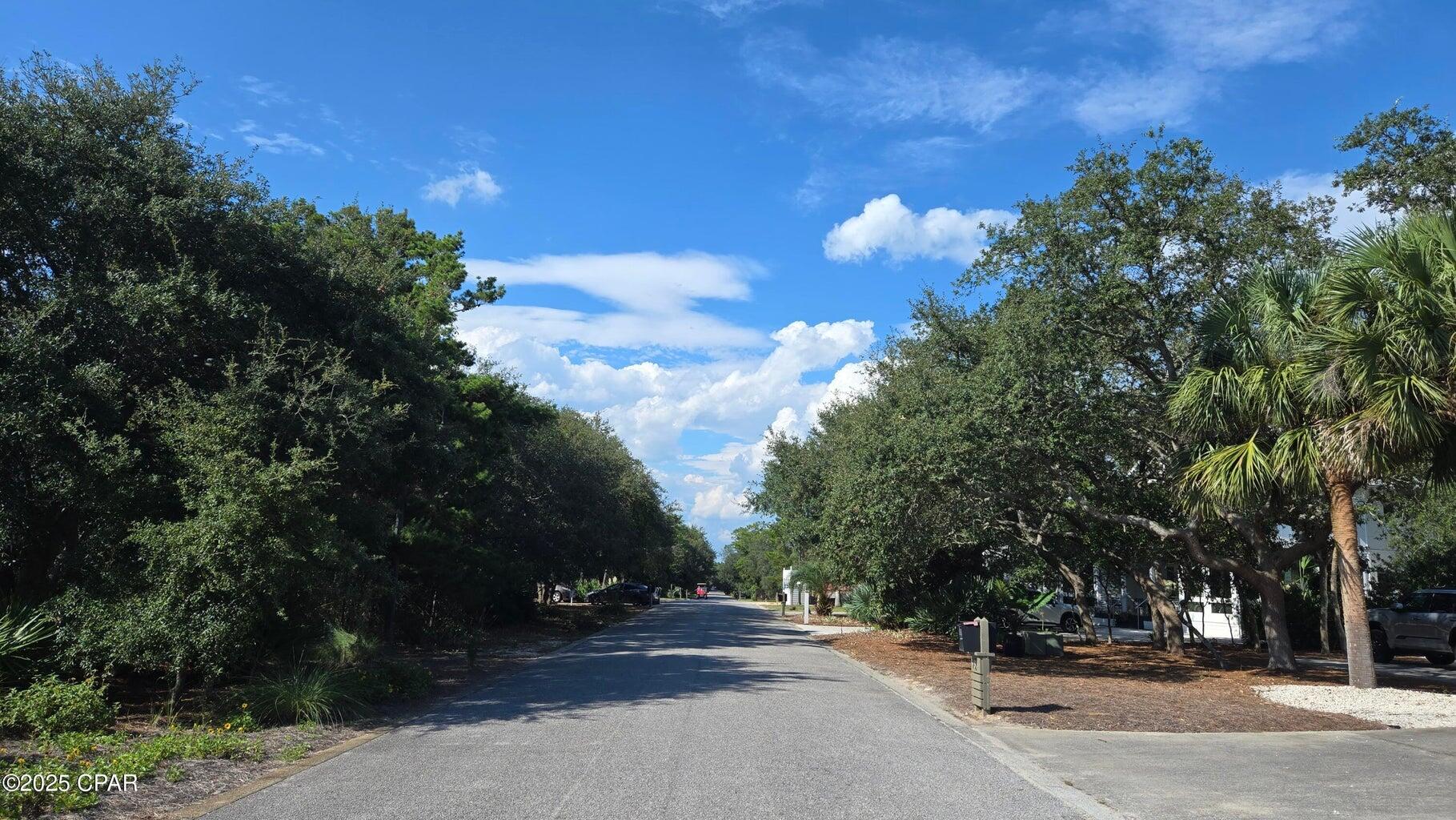 68 Clareon Dr Inlet Beach Inlet Beach, FL 32461 - Photo 24 of 37 a view of a roadside with trees