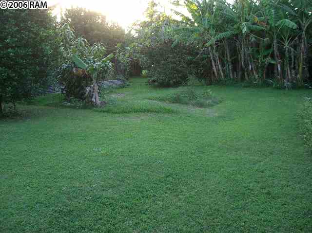 730 B Haiku Road, Unit 730 (B) HAIKU ROAD Haiku, HI 96708 - Photo 1 of 9 a view of a field with a trees in the background