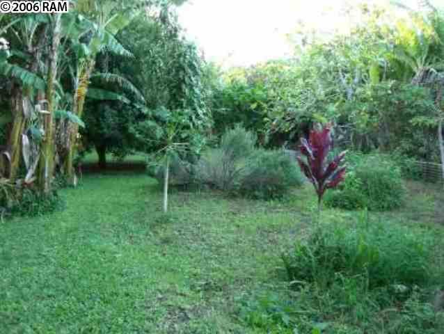 730 B Haiku Road, Unit 730 (B) HAIKU ROAD Haiku, HI 96708 - Photo 5 of 9 a view of a backyard