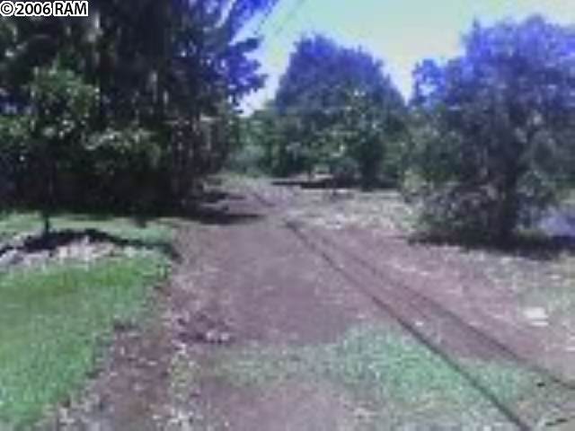 730 B Haiku Road, Unit 730 (B) HAIKU ROAD Haiku, HI 96708 - Photo 6 of 9 a view of a yard with a tree