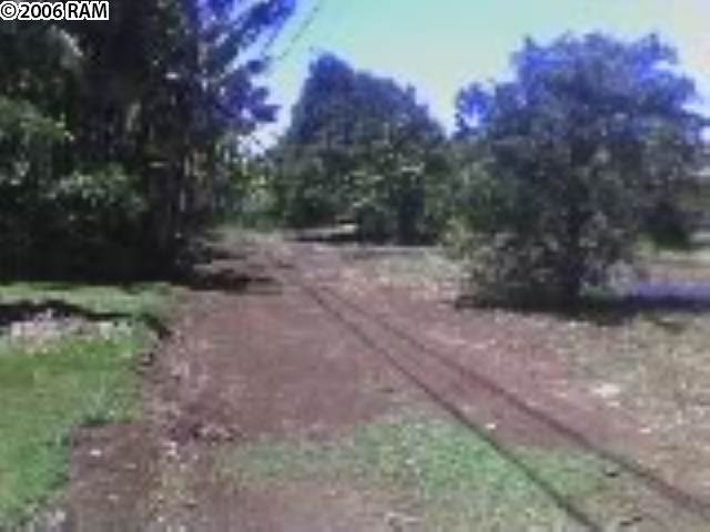 730 B Haiku Road, Unit 730 (B) HAIKU ROAD Haiku, HI 96708 - Photo 7 of 9 a view of a yard with a tree