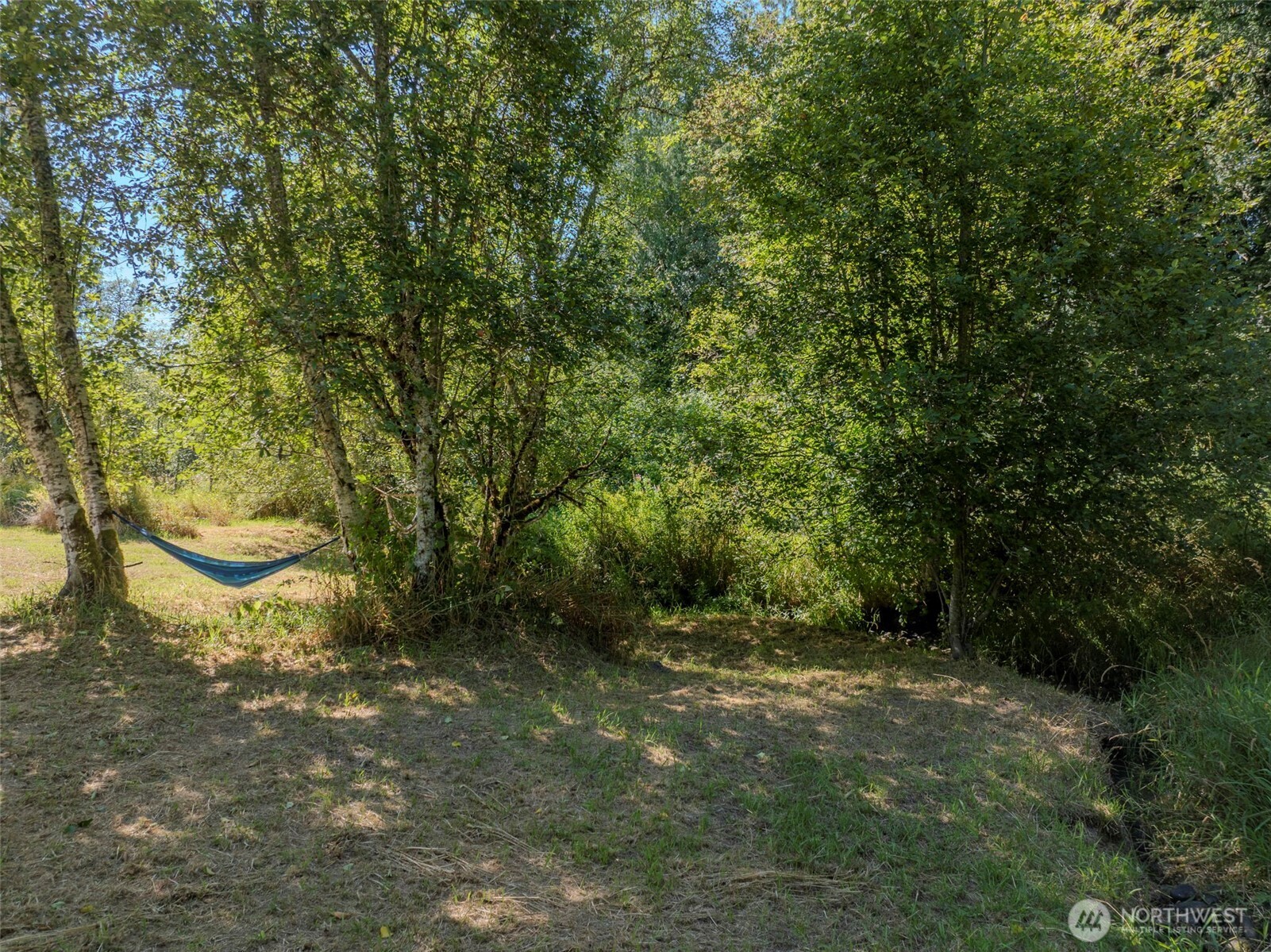 819 Middle Fork Road Onalaska, WA 98570 - Photo 40 of 40 Gallery Image 40