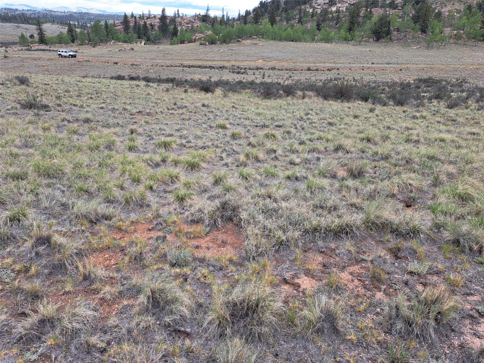 80 Longbow Court Como, CO 80456 - Photo 11 of 24 a view of dirt field with large trees