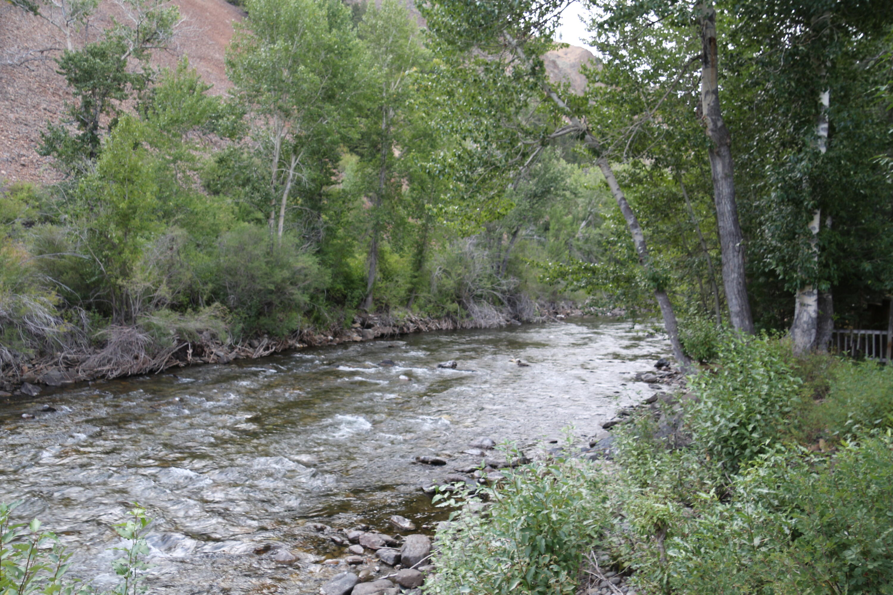 650 River Trail Hailey, ID 83333 - Photo 30 of 30 IMG_7839