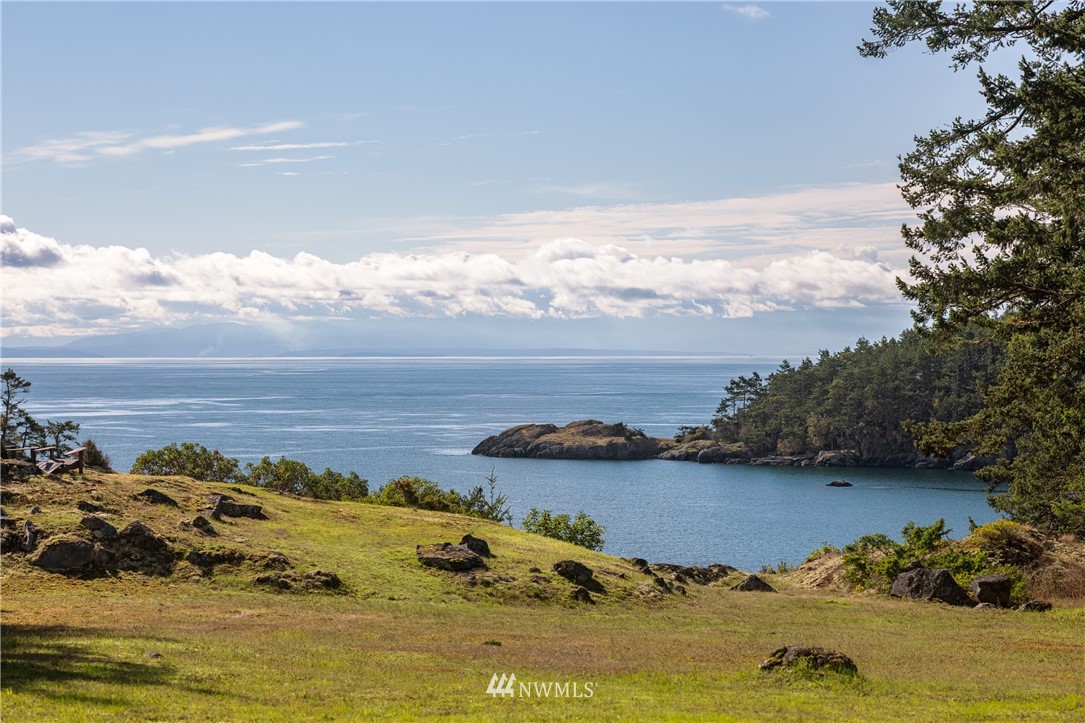 1428 Aleck Bay Road Lopez Island, WA 98261 - Photo 2 of 30 a view of an ocean and beach