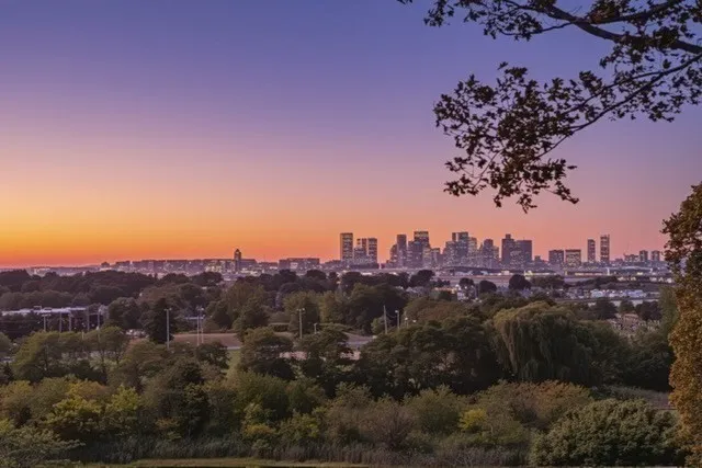 a black and white photo of a