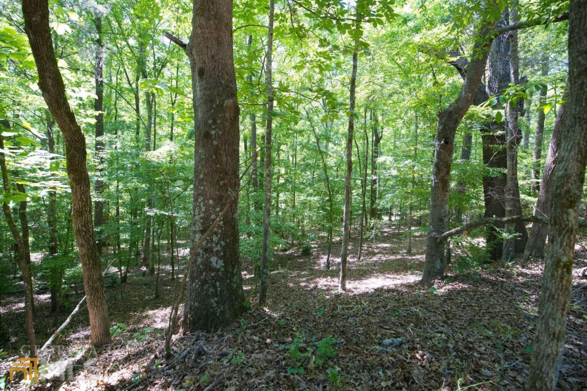 100 Red Fox Run Athens, GA 30605 - Photo 1 of 1 Gallery Image 1