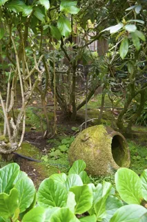 $4,300,000 | 901 Glen Way, Hillsborough, CA 94010