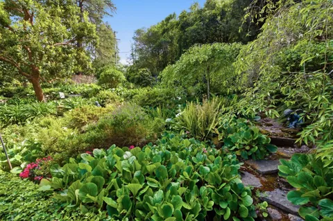 $4,300,000 | 901 Glen Way, Hillsborough, CA 94010
