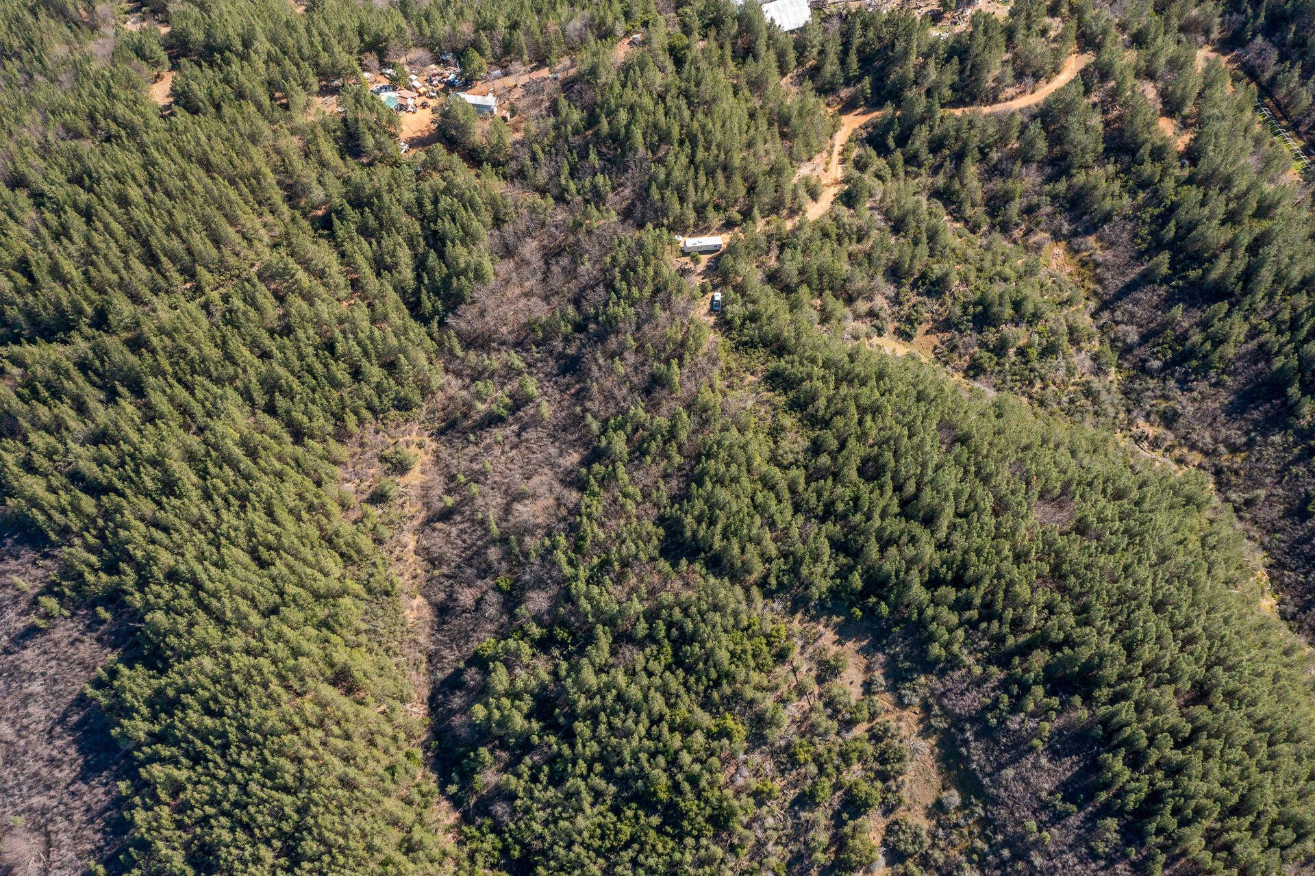 0 Solid Rock Road Bella Vista, CA 96008 - Photo 7 of 12 DJI_0920
