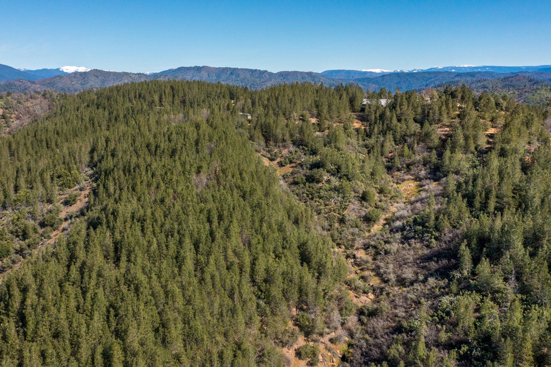 0 Solid Rock Road Bella Vista, CA 96008 - Photo 10 of 12 DJI_0930