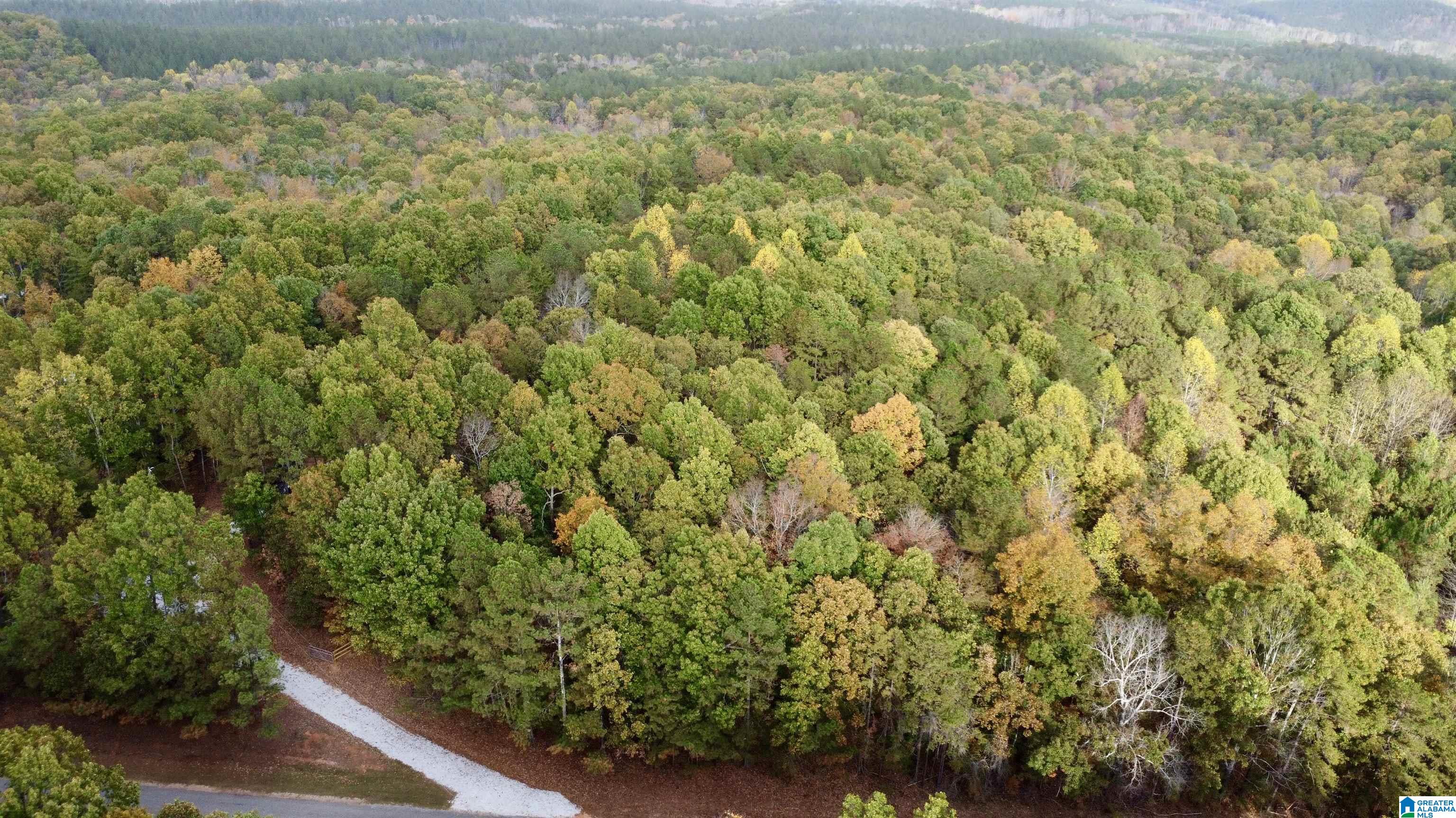 4348 County Road 25, Unit 1 Heflin, AL 36264 - Photo 16 of 22