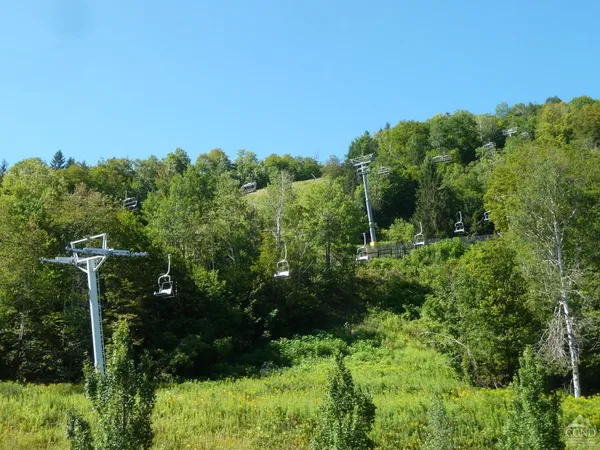 a living room with fireplace furniture and a floor to ceiling window