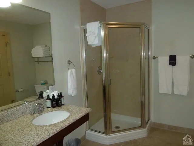 a bathroom with a granite countertop shower a sink and mirror