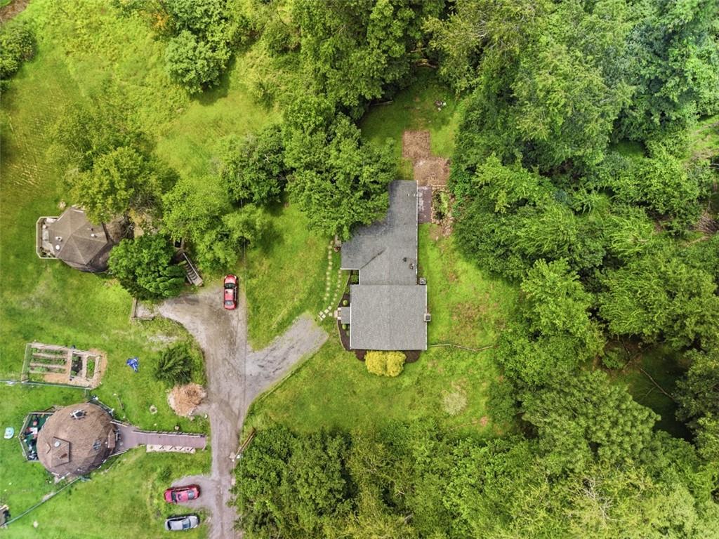 8517 Wittmer Road Pittsburgh, PA 15237 - Photo 45 of 46 view of a garden with plants and large trees
