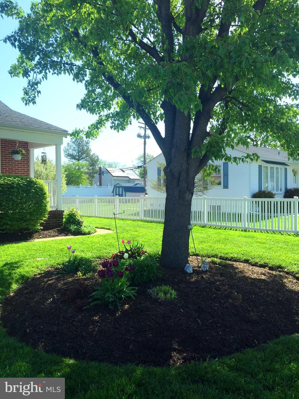 8441 Arbutus Road Pasadena, MD 21122 - Photo 8 of 24 Exterior (Front)