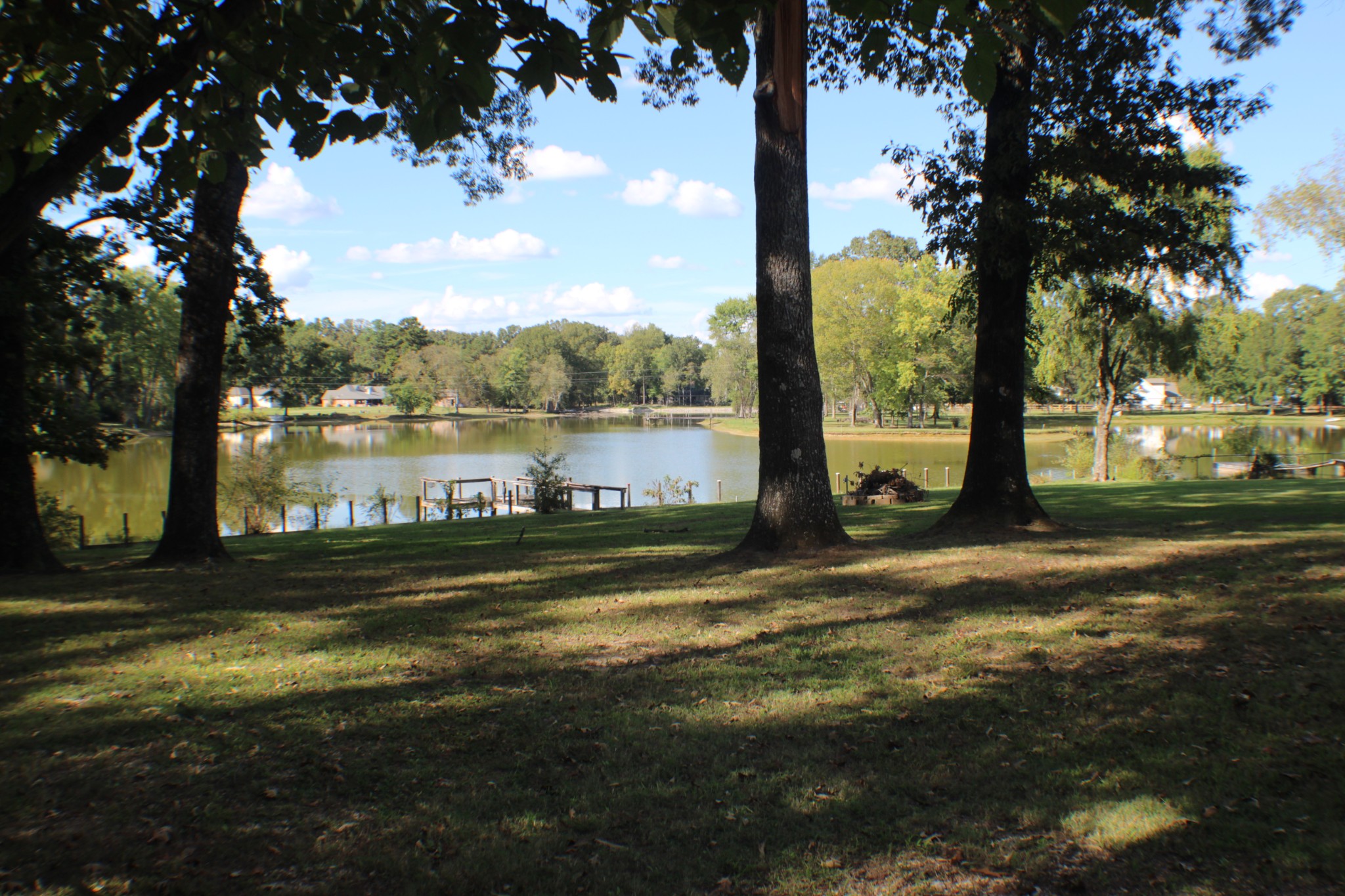 935 Lakeview Drive Collierville, TN 38017 - Photo 15 of 82