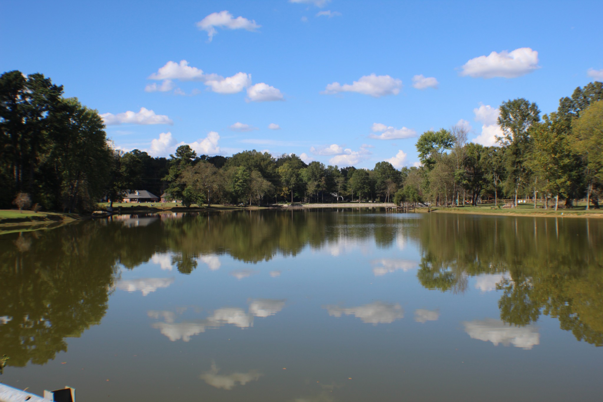 935 Lakeview Drive Collierville, TN 38017 - Photo 21 of 82