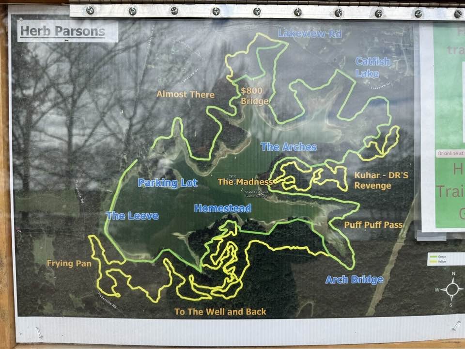 935 Lakeview Drive Collierville, TN 38017 - Photo 5 of 82