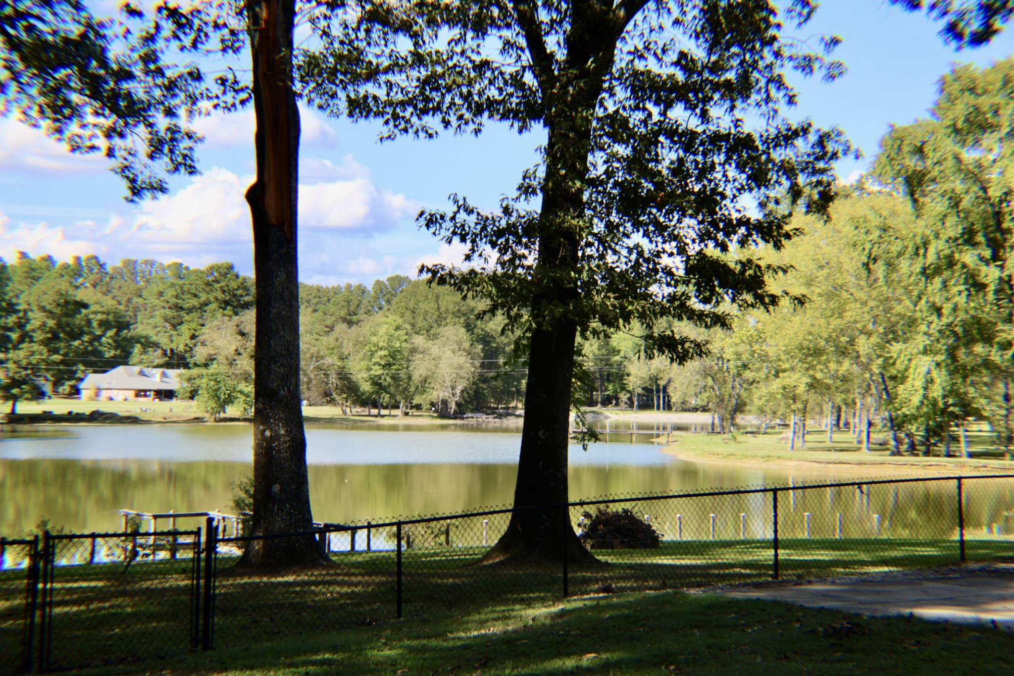 935 Lakeview Drive Collierville, TN 38017 - Photo 68 of 82