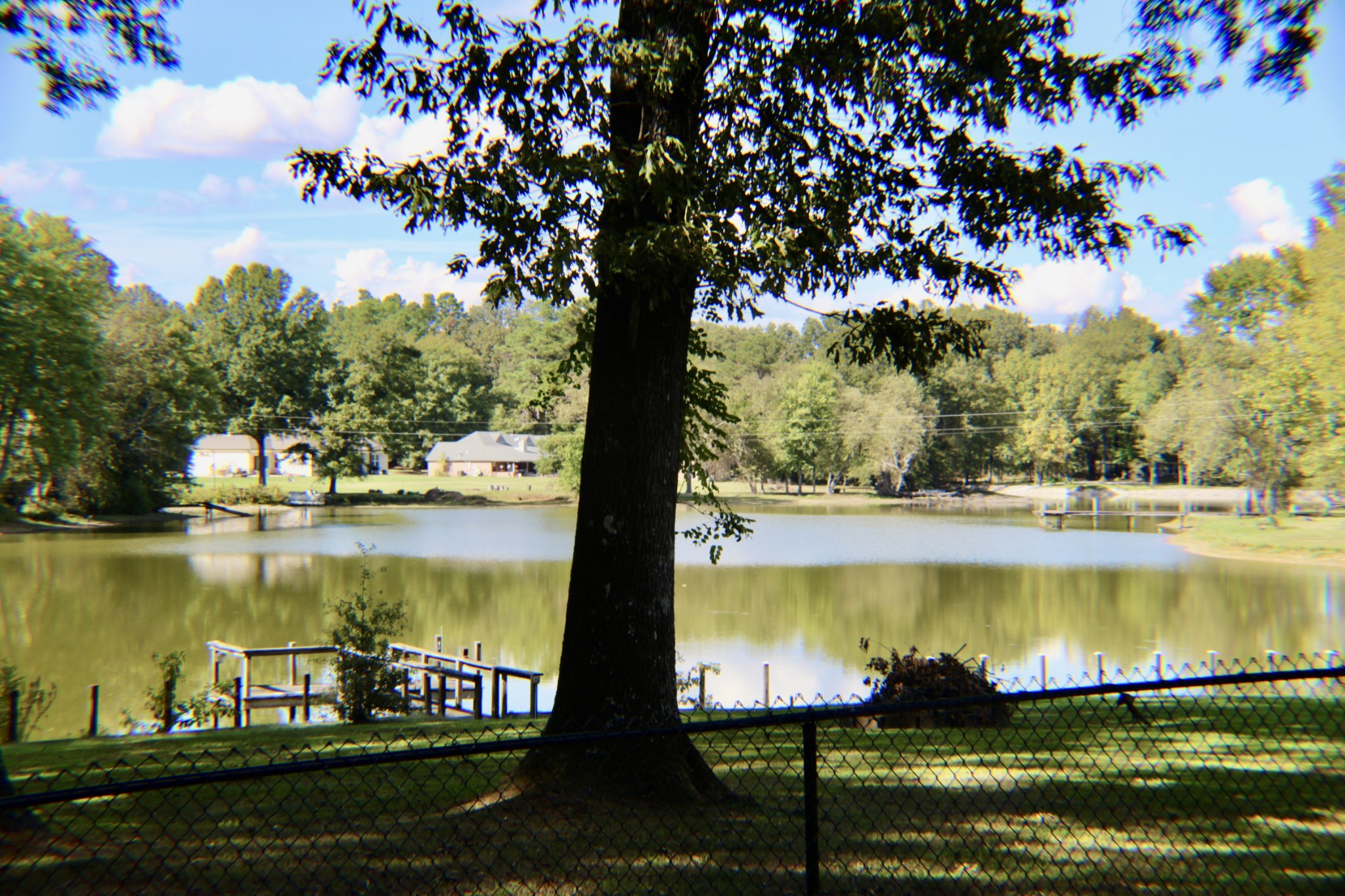 935 Lakeview Drive Collierville, TN 38017 - Photo 69 of 82