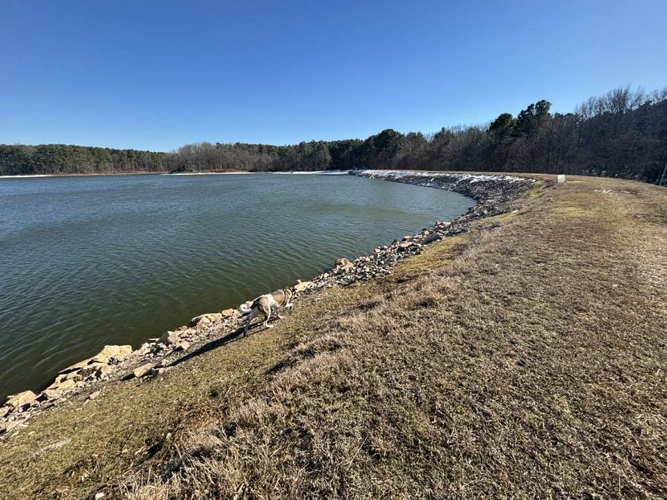 935 Lakeview Drive Collierville, TN 38017 - Photo 73 of 82