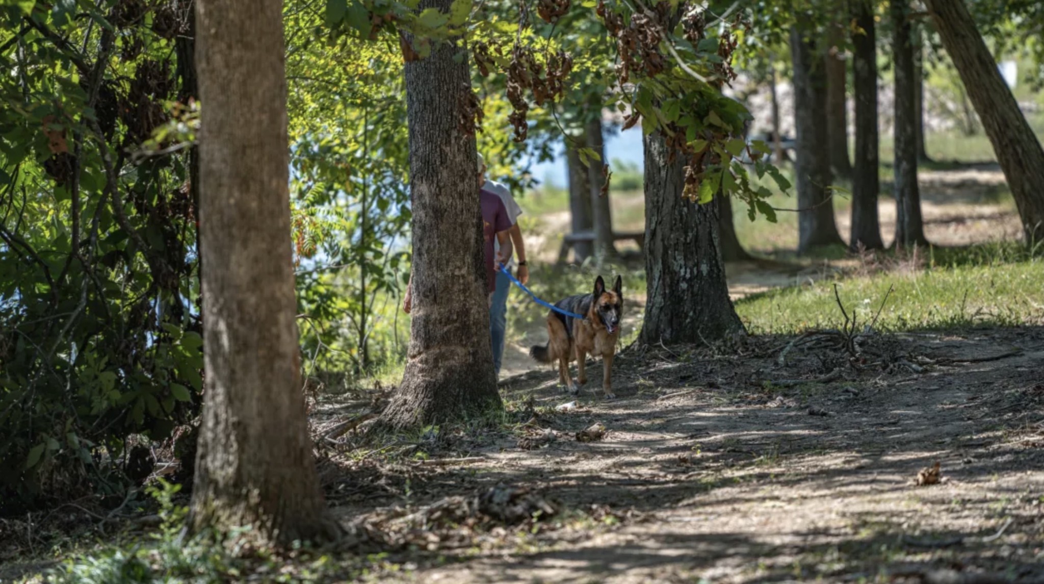 935 Lakeview Drive Collierville, TN 38017 - Photo 77 of 82