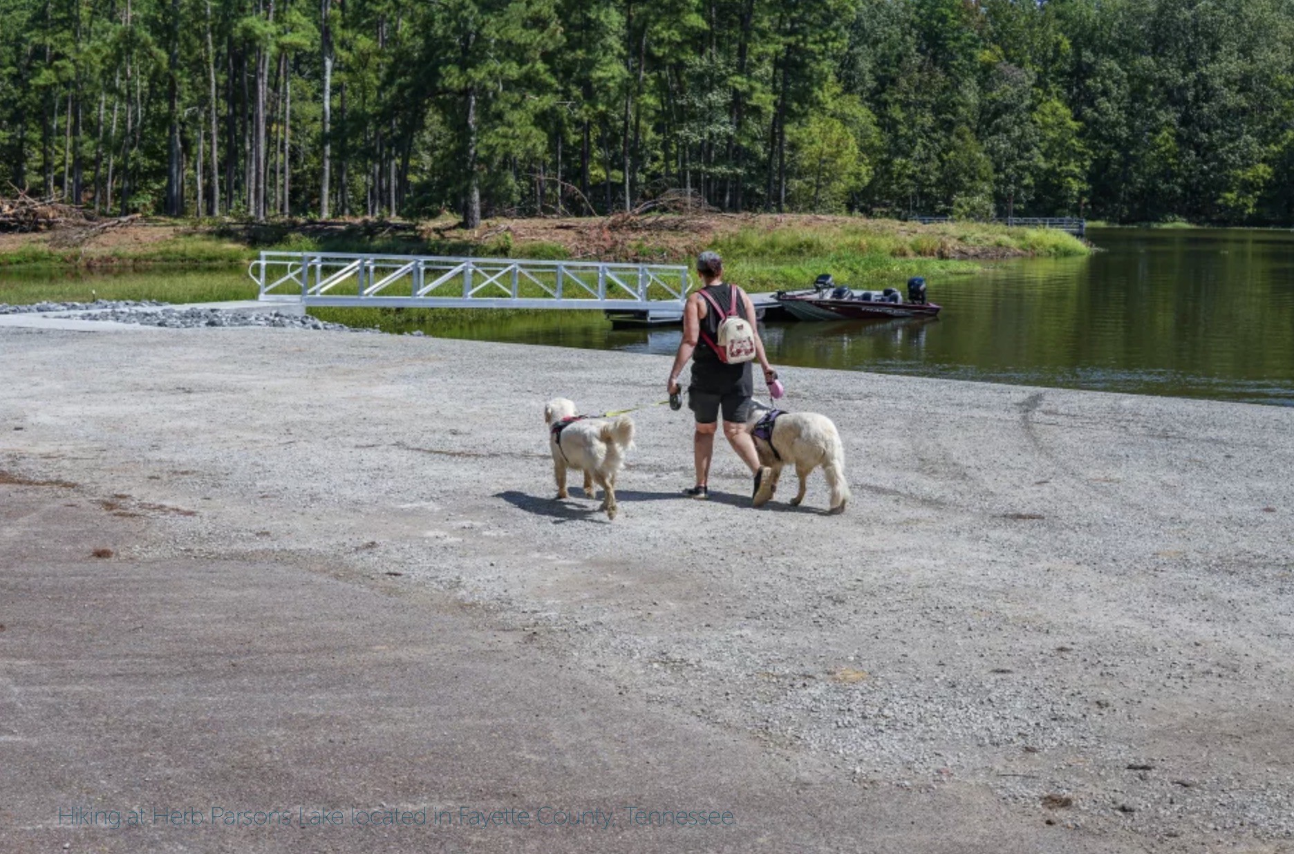 935 Lakeview Drive Collierville, TN 38017 - Photo 78 of 82