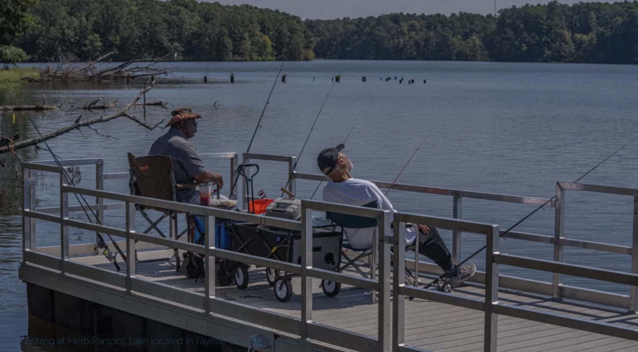 935 Lakeview Drive Collierville, TN 38017 - Photo 82 of 82