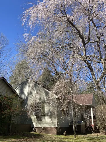 a view of a building with large trees