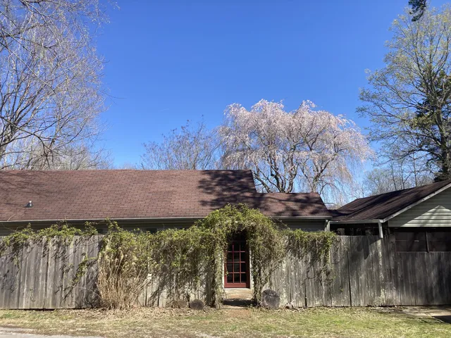 a view of a backyard