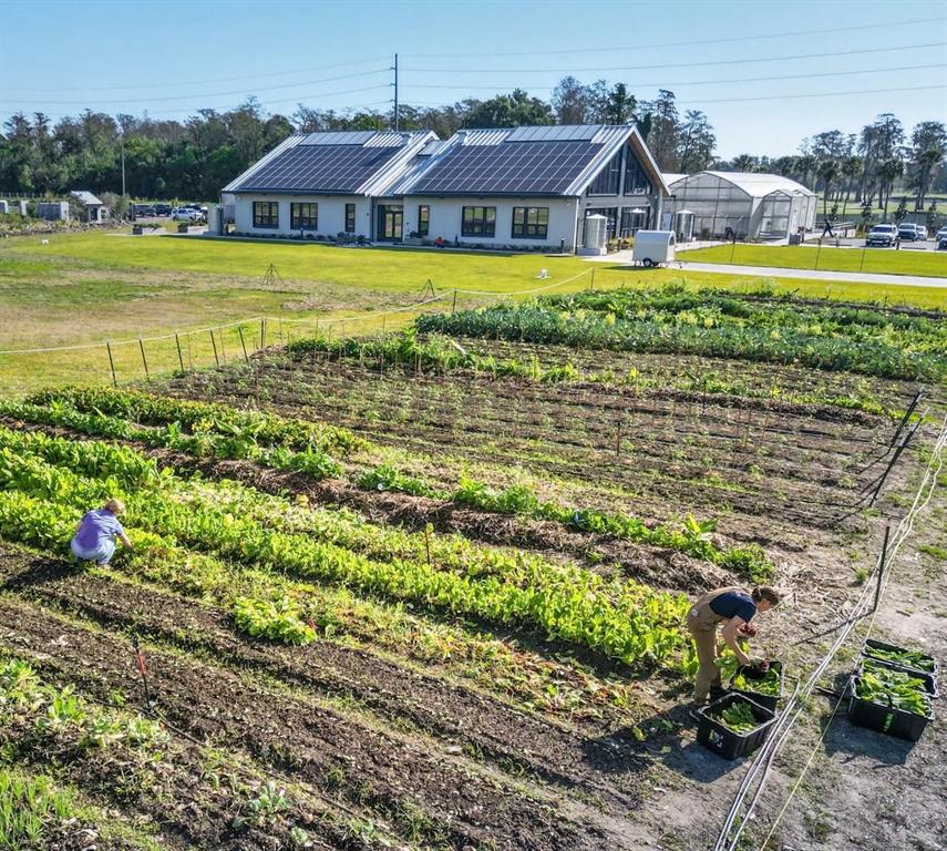 2174 Whitney Marsh Alley Orlando, FL 32804 - Photo 44 of 50 a view of a house with a big yard and potted plants