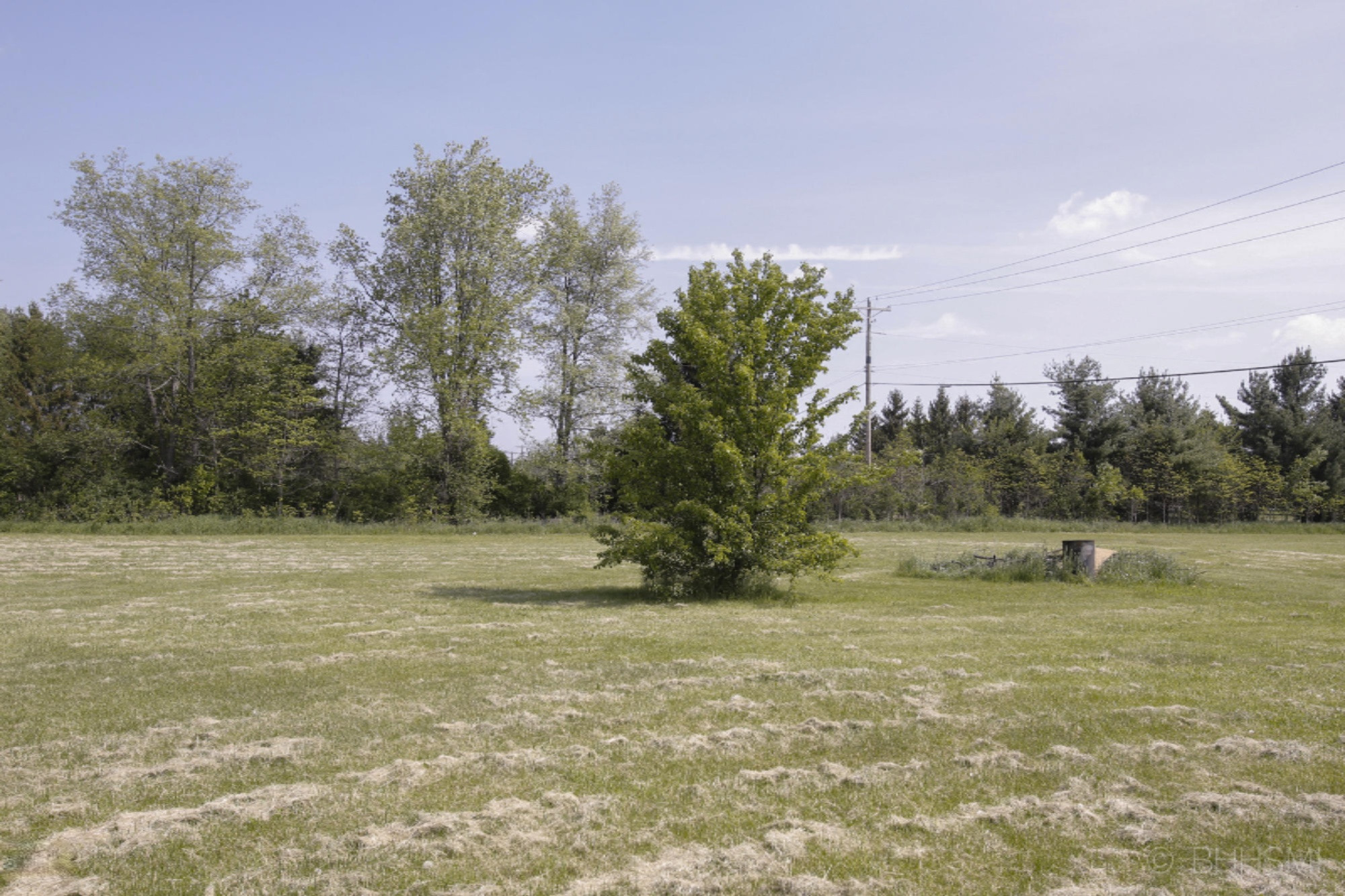 52955 Johnson Road Three Rivers, MI 49093 - Photo 21 of 28 52955 johnson-121