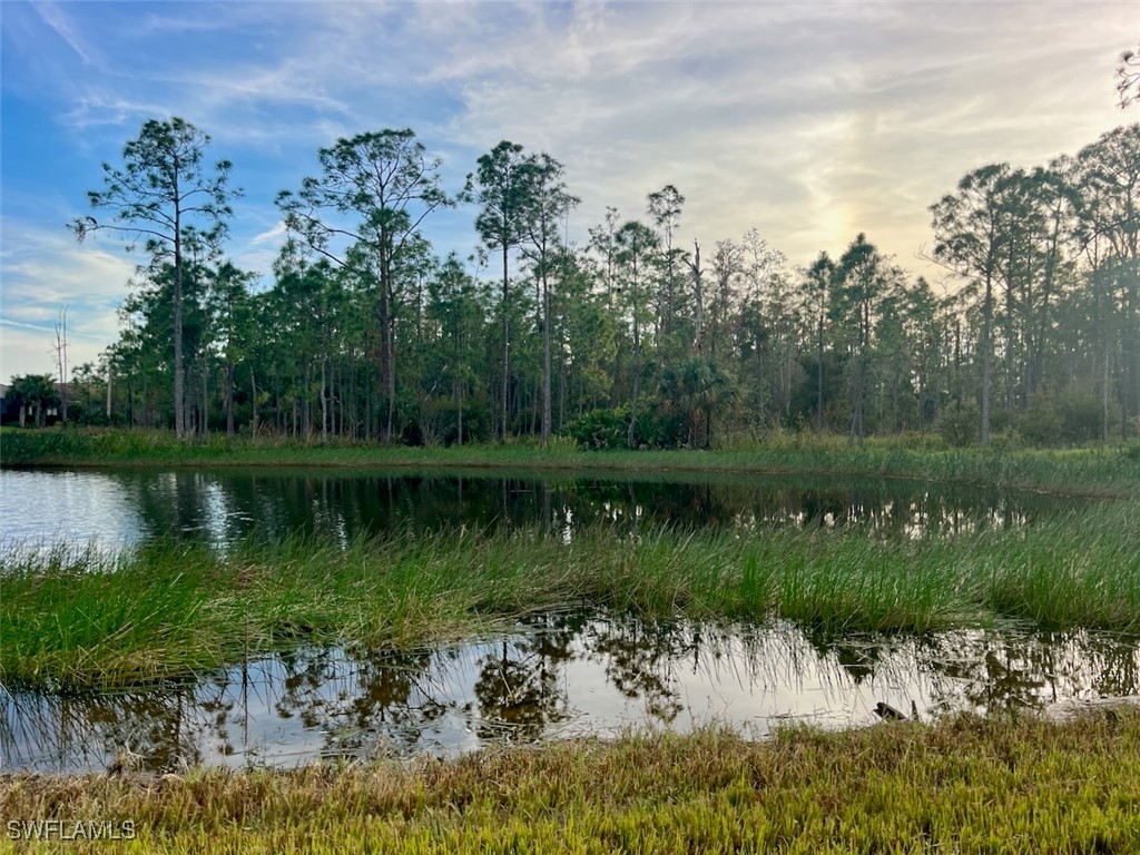11279 Carlingford Road Fort Myers, FL 33913 - Photo 6 of 36 Gallery Image 6