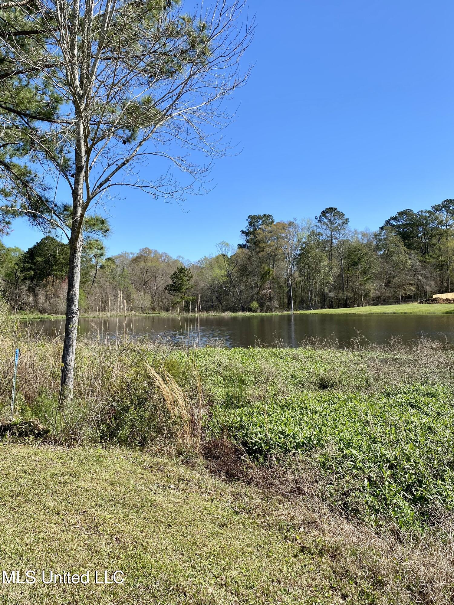 31 Cove Lake Road Carriere, MS 39426 - Photo 45 of 51 44, IMG_2633