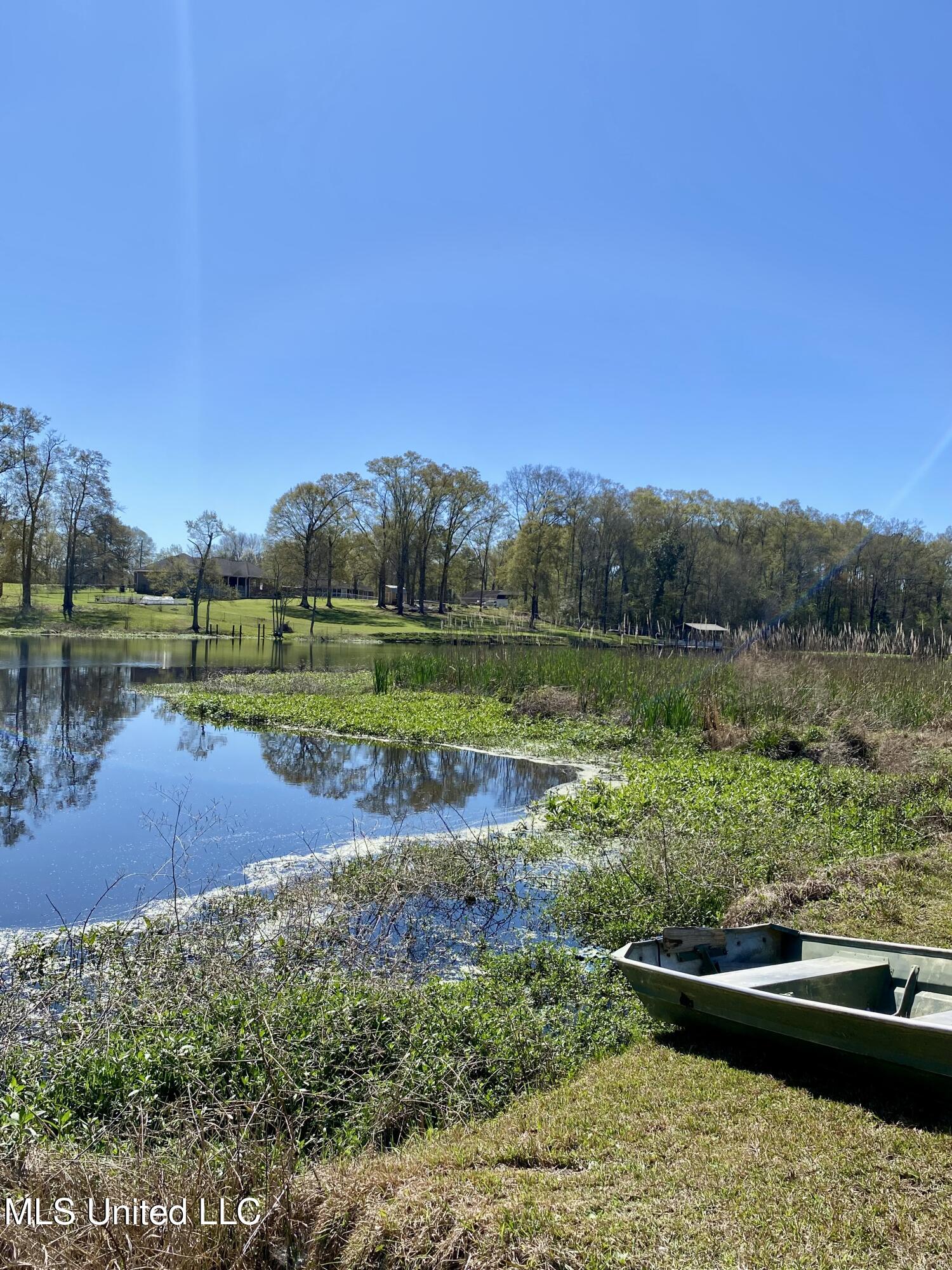 31 Cove Lake Road Carriere, MS 39426 - Photo 46 of 51 45, IMG_2634