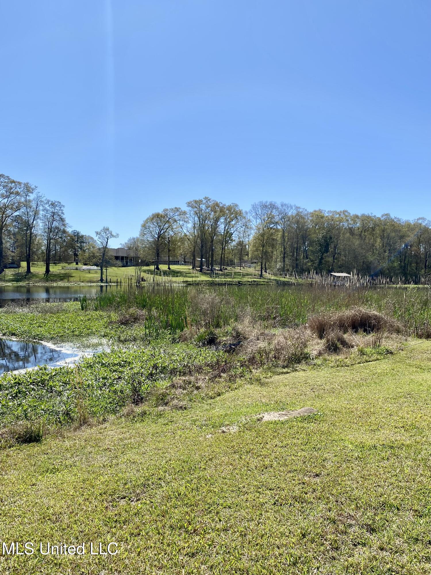 31 Cove Lake Road Carriere, MS 39426 - Photo 47 of 51 46, IMG_2635
