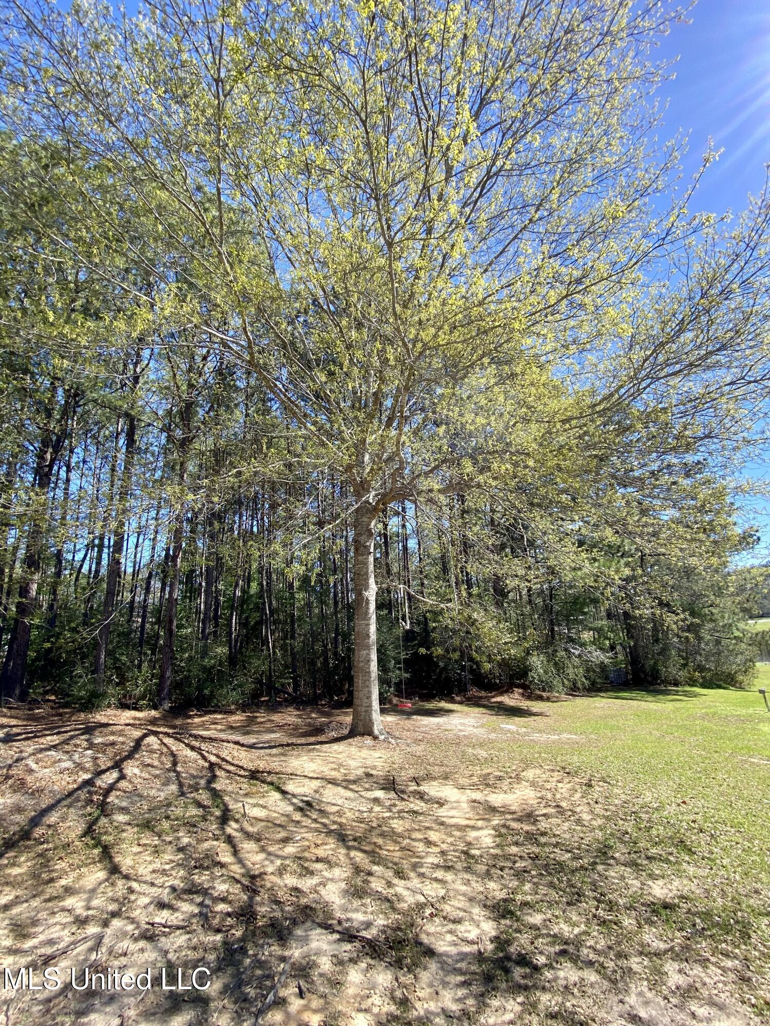 31 Cove Lake Road Carriere, MS 39426 - Photo 49 of 51 48, IMG_2637