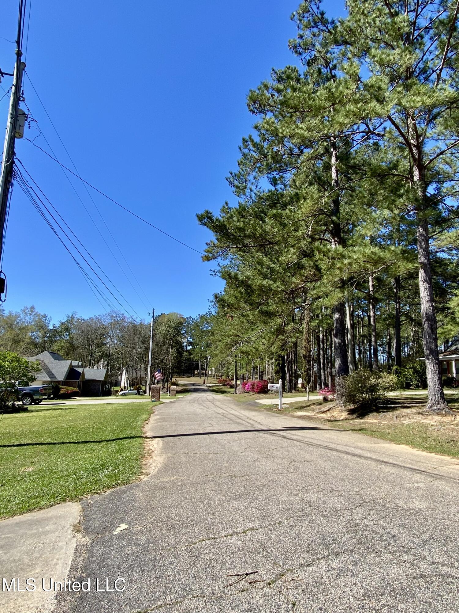 31 Cove Lake Road Carriere, MS 39426 - Photo 50 of 51 49, Street view, IMG_2626