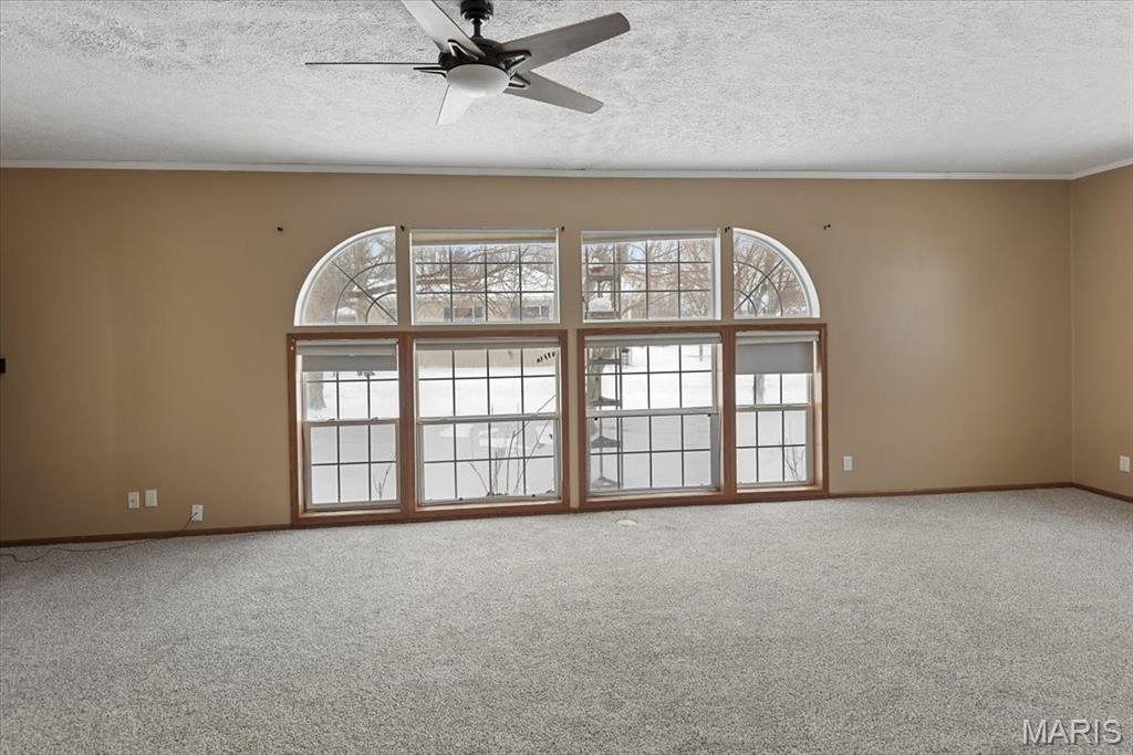 13560 Gilmore Road Auburn, IL 62615 - Photo 14 of 19