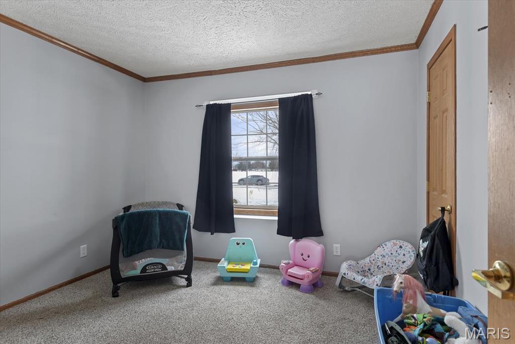 13560 Gilmore Road Auburn, IL 62615 - Photo 17 of 19